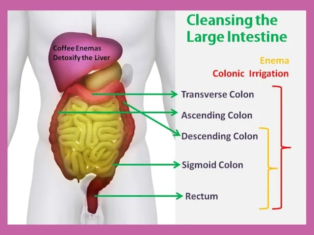 How often is it safe to do a colon cleanse?