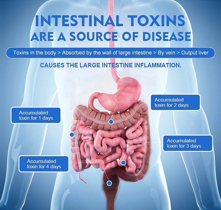 MAIKONG Open Colonic Machine